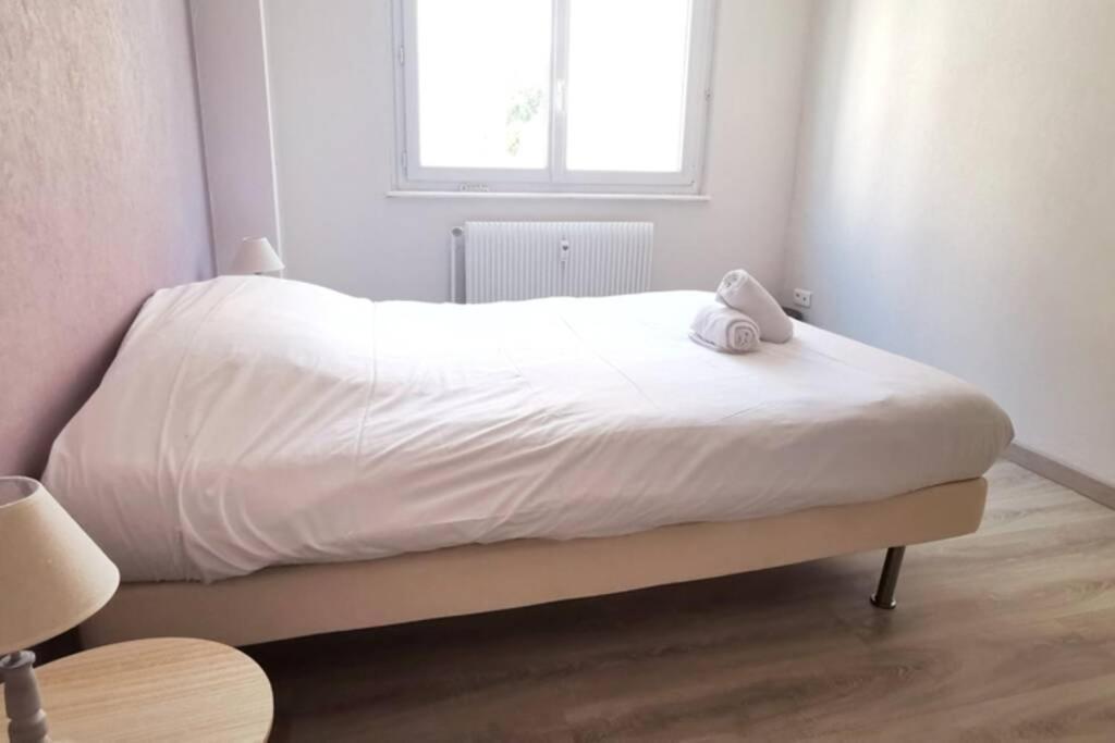 Appartement F2 Cosy Proche Centre ストラスブール エクステリア 写真